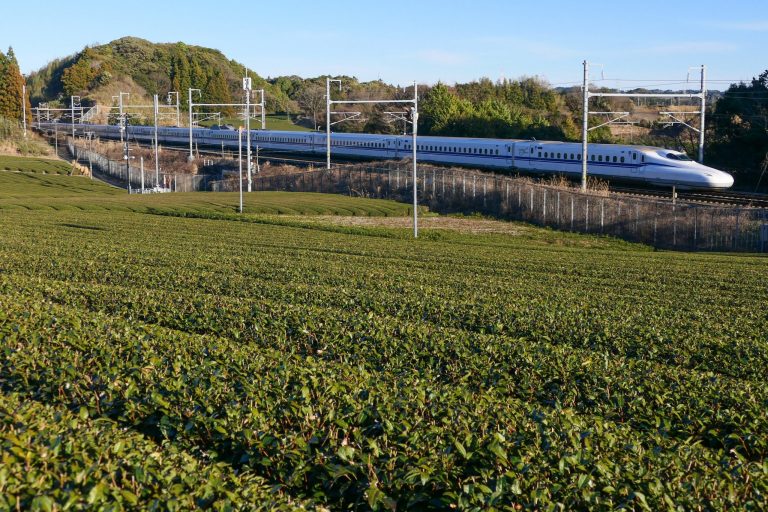 静岡県菊川市の茶畑を走り抜ける東海道新幹線のN700S