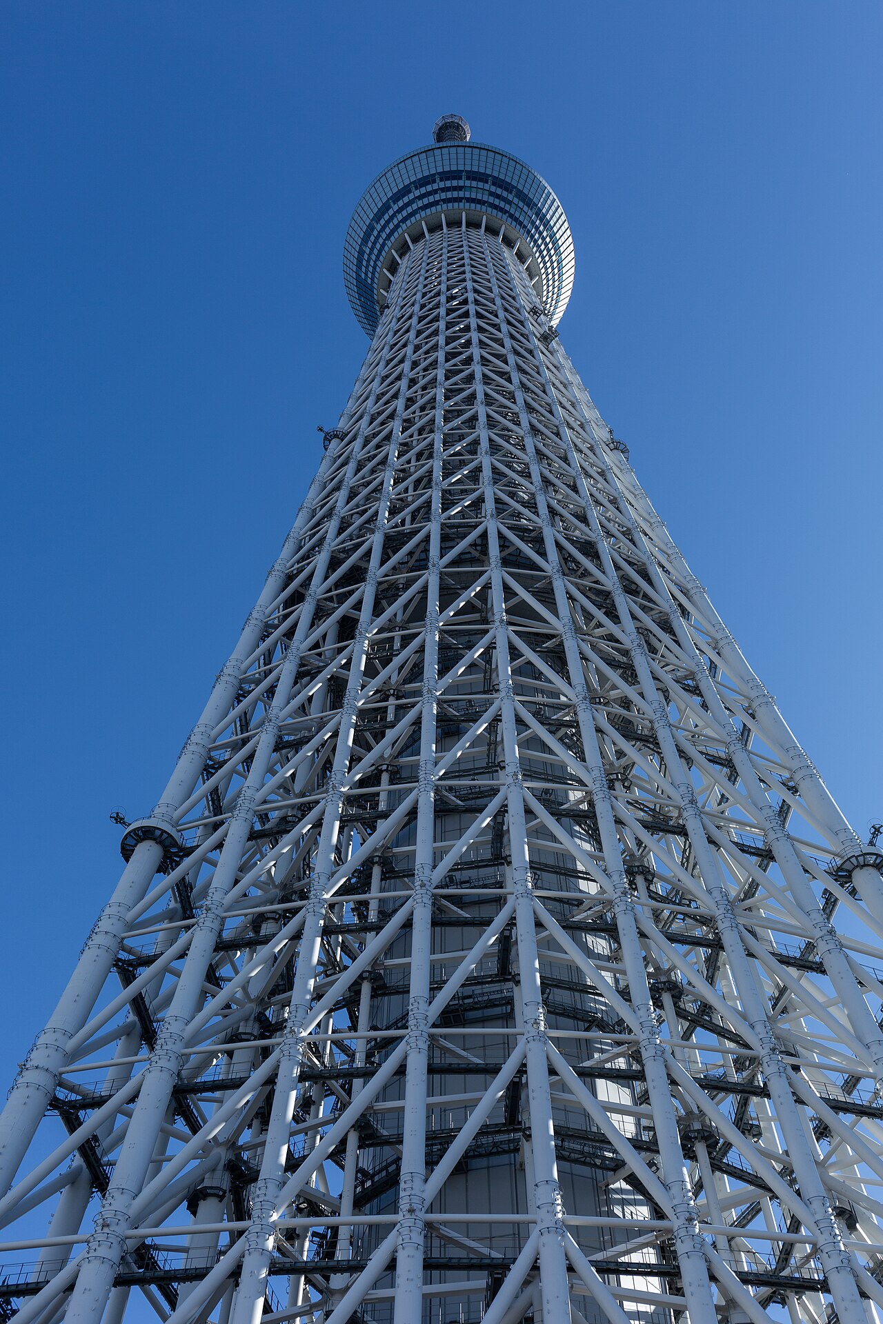 初めての東京観光5日間モデルコース!見どころとおすすめプラン 4 東京スカイツリーを真下から見上げた縦構図。画面の大半を鉄骨のトラスが占める