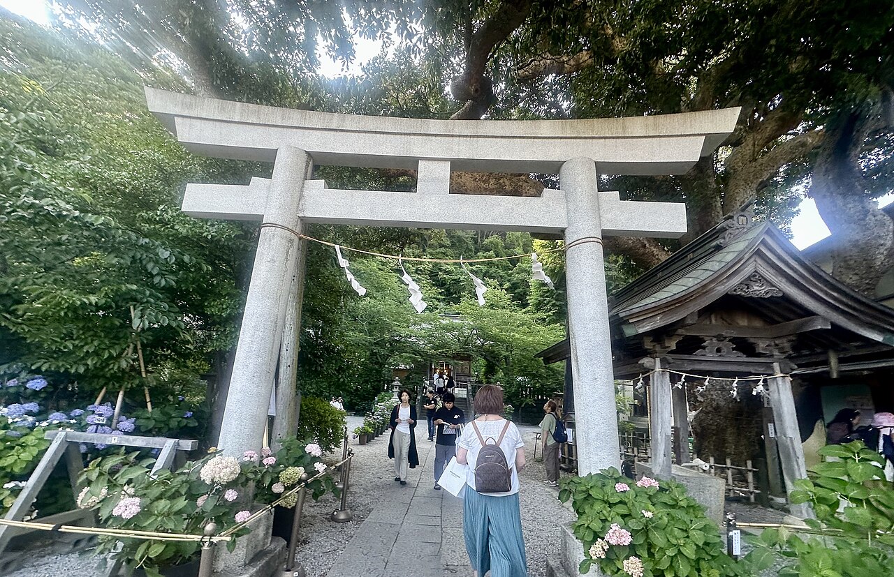 東京発・鎌倉日帰りモデルコース|江ノ電で回る定番8スポット 6 御霊神社の石の鳥居と、参道の両脇に咲くあじさい