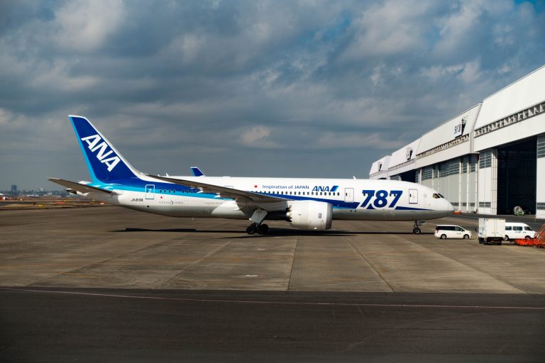 From 24 July: ANA Domestic Time Sale, One Way from 10,450 Yen