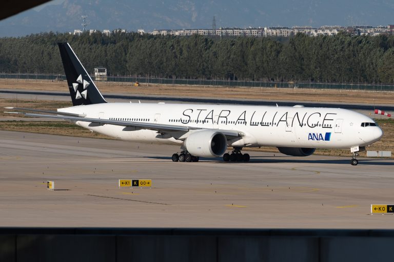 ANA International Time Sale: Round Trips with the Fuel Surcharge Included