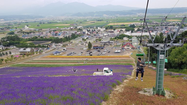リフトから見下ろす中富良野のラベンダー畑と、奥に広がる町並みと十勝岳連峰