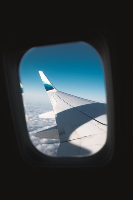 飛行機の窓から見える雲海と翼