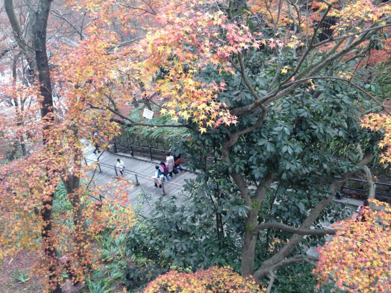 京都の紅葉と寺院