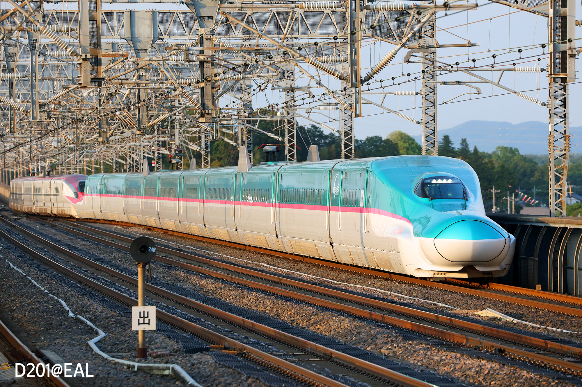 マイルとJRE POINTどっちで旅する?原資別に往復コストを比較 1 東北新幹線のE5系。緑と白の車体が駅に停車している