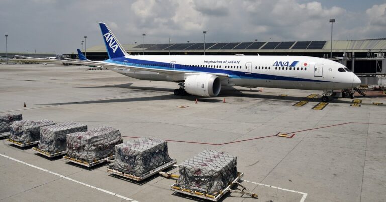ANAのボーイング787型機