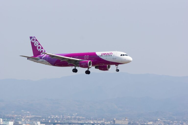 LCC Cheap Flight Booking Techniques: Sale Timing, Seat Selection and Baggage Fees