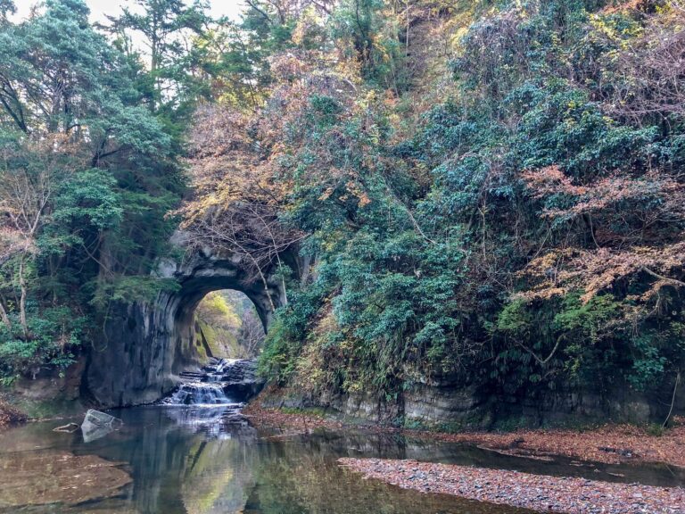 A Guide to Scenic Day Trips from Tokyo: Nature by Car and Rail Within a Weekend