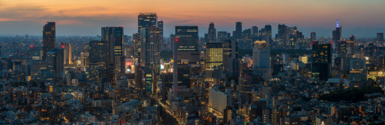 Tokyo skyline night Shinjuku