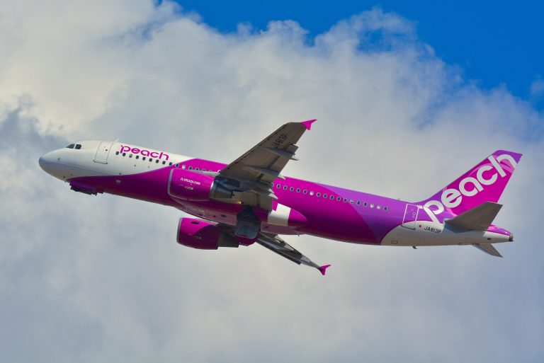 成田空港を離陸するピーチのエアバスA320-200(JA813P)