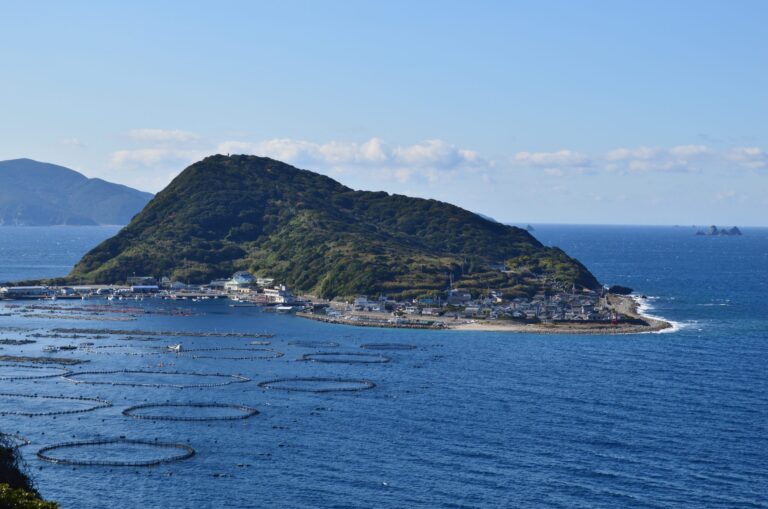 Kashiwajima 3-Day Itinerary: Floating Boats in Kochi