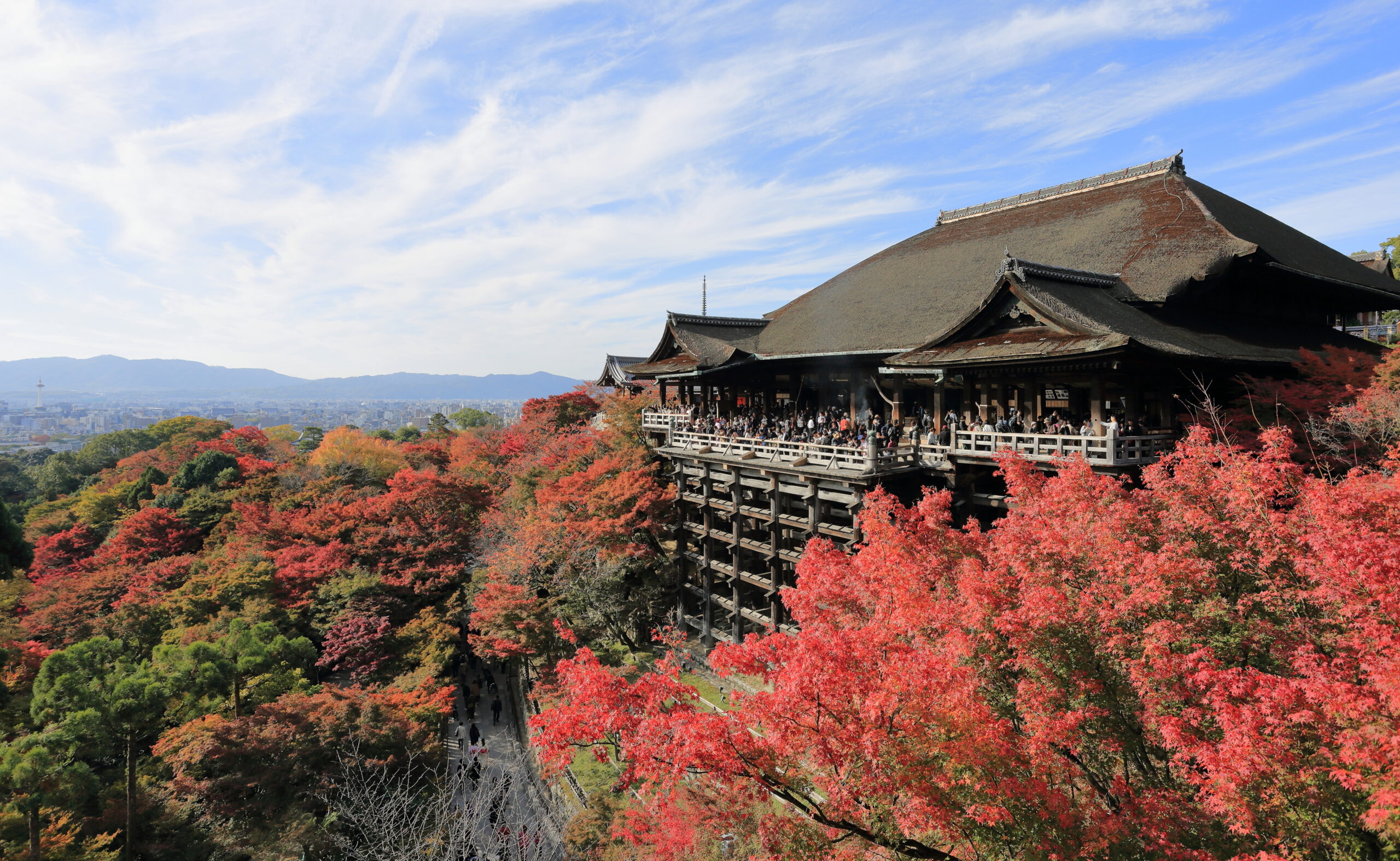紅葉に囲まれた京都・清水寺の本堂