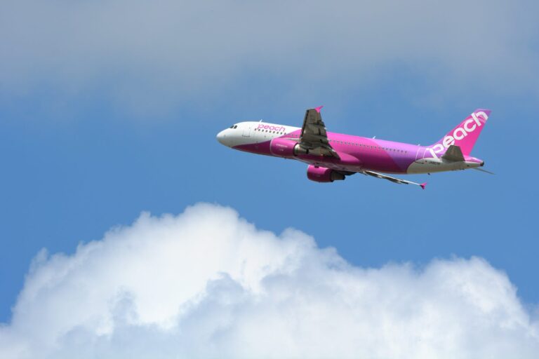 青空を上昇するPeachのエアバスA320-200(JA807P)