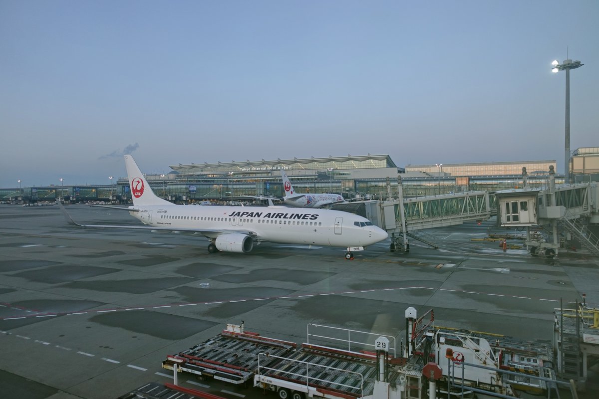 羽田・成田空港の子連れ完全ガイド|ベビーカー貸出からキッズスペースまで 1 羽田空港第3ターミナル国際線ゲートエリアの様子